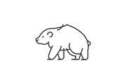 Brown bear line icon concept. Brown