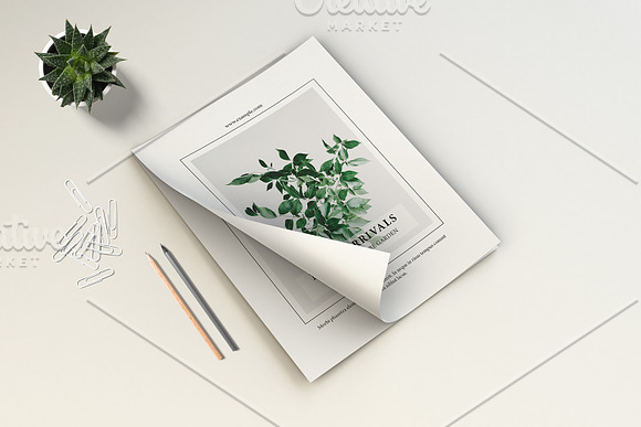 Postcard Template V912 in Flyer Templates - product preview 4