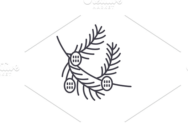 Fir tree branch with cones line icon