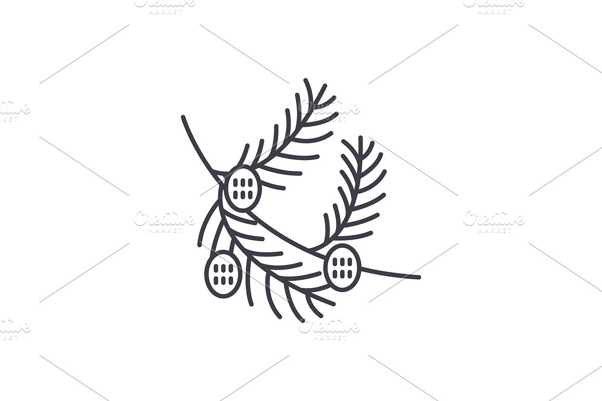Fir tree branch with cones line icon in Illustrations - product preview 8