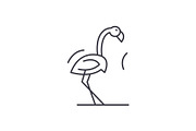 Flamingo line icon concept. Flamingo