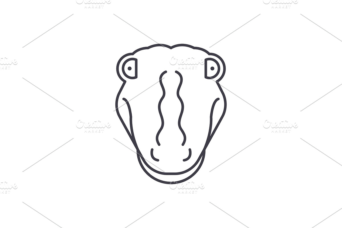 Funny crocodile line icon concept in Illustrations - product preview 8