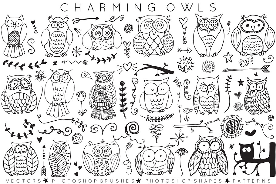Charming Owls in Photoshop Brushes - product preview 8
