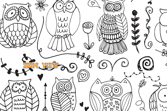 Charming Owls in Photoshop Brushes - product preview 2