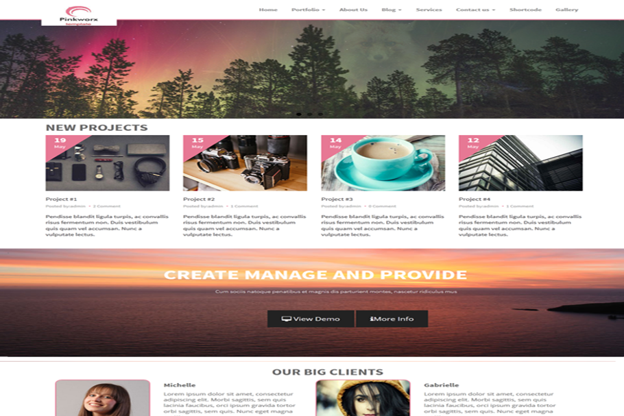 Pinkworx in WordPress Business Themes - product preview 8