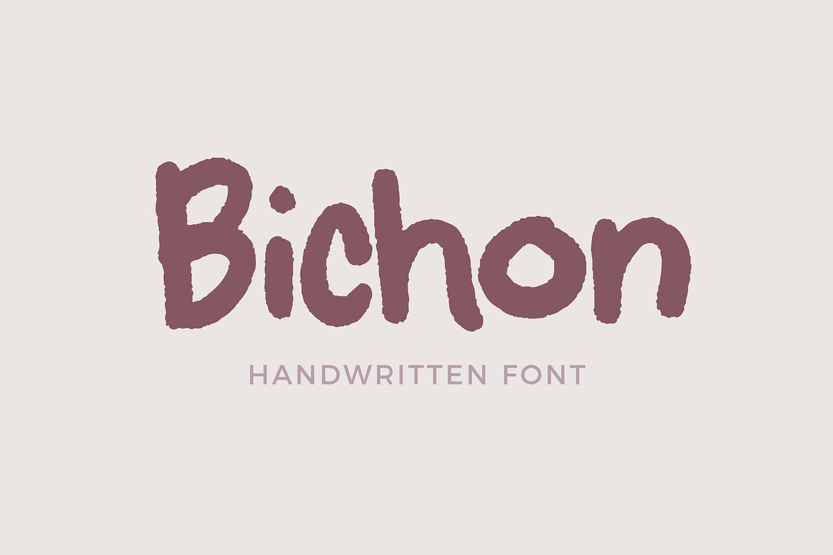 Bichon | Handwritten Font in Display Fonts - product preview 8
