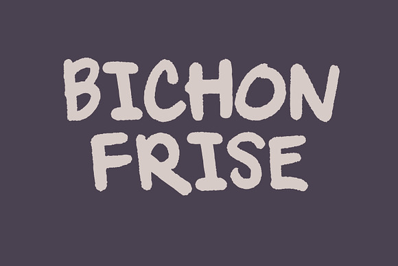 Bichon | Handwritten Font in Display Fonts - product preview 2