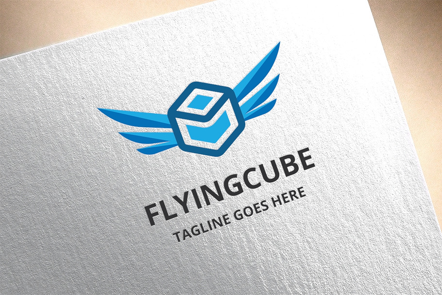 Flying Cube Logo
