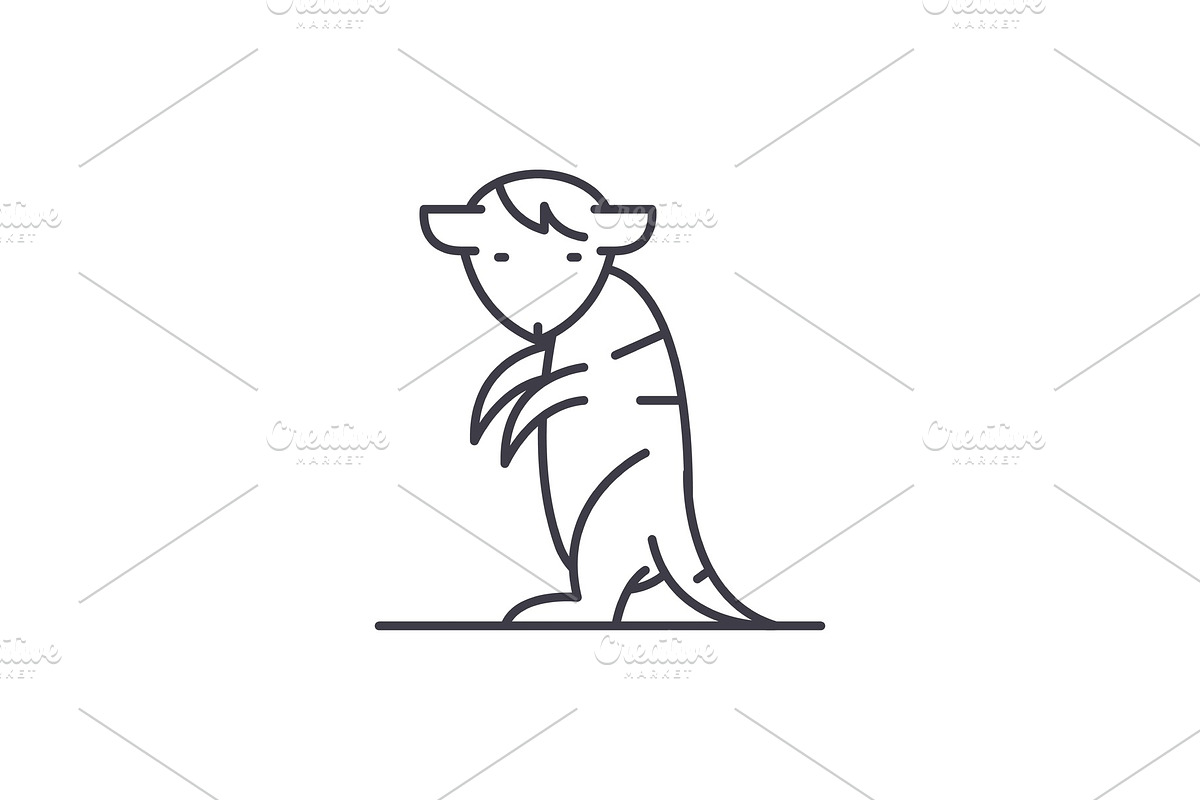 Meerkat line icon concept. Meerkat in Illustrations - product preview 8
