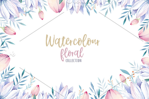 Watercolour floral collection
