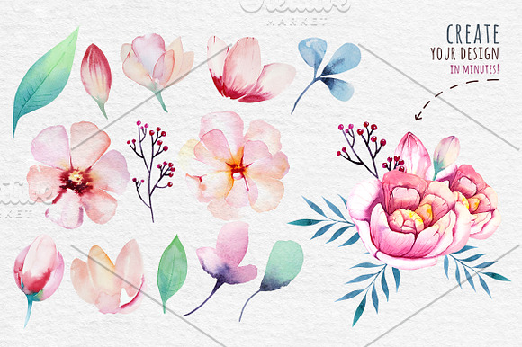 Watercolour floral collection in Illustrations - product preview 1