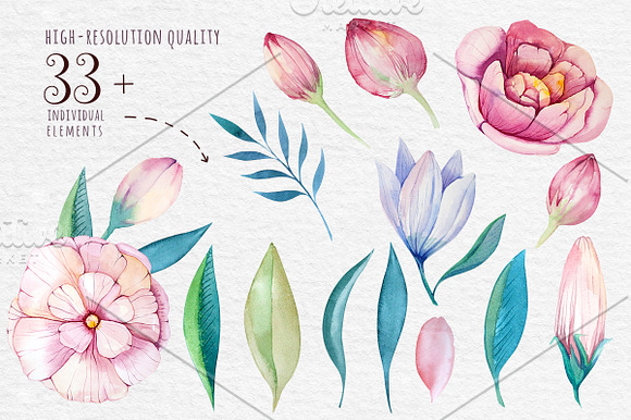 Watercolour floral collection in Illustrations - product preview 2