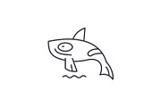 Shark killer whale line icon concept