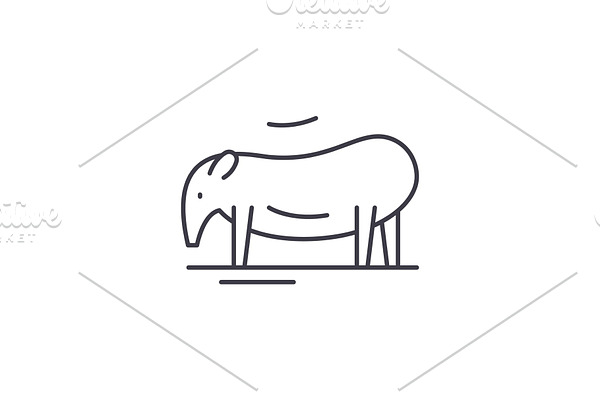 Tapir line icon concept. Tapir