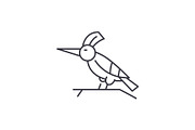 Woodpecker line icon concept