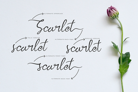 kalila script font in Italic Fonts - product preview 7