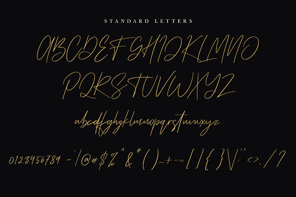 Scottsmith - Ligatures Font in Script Fonts - product preview 16