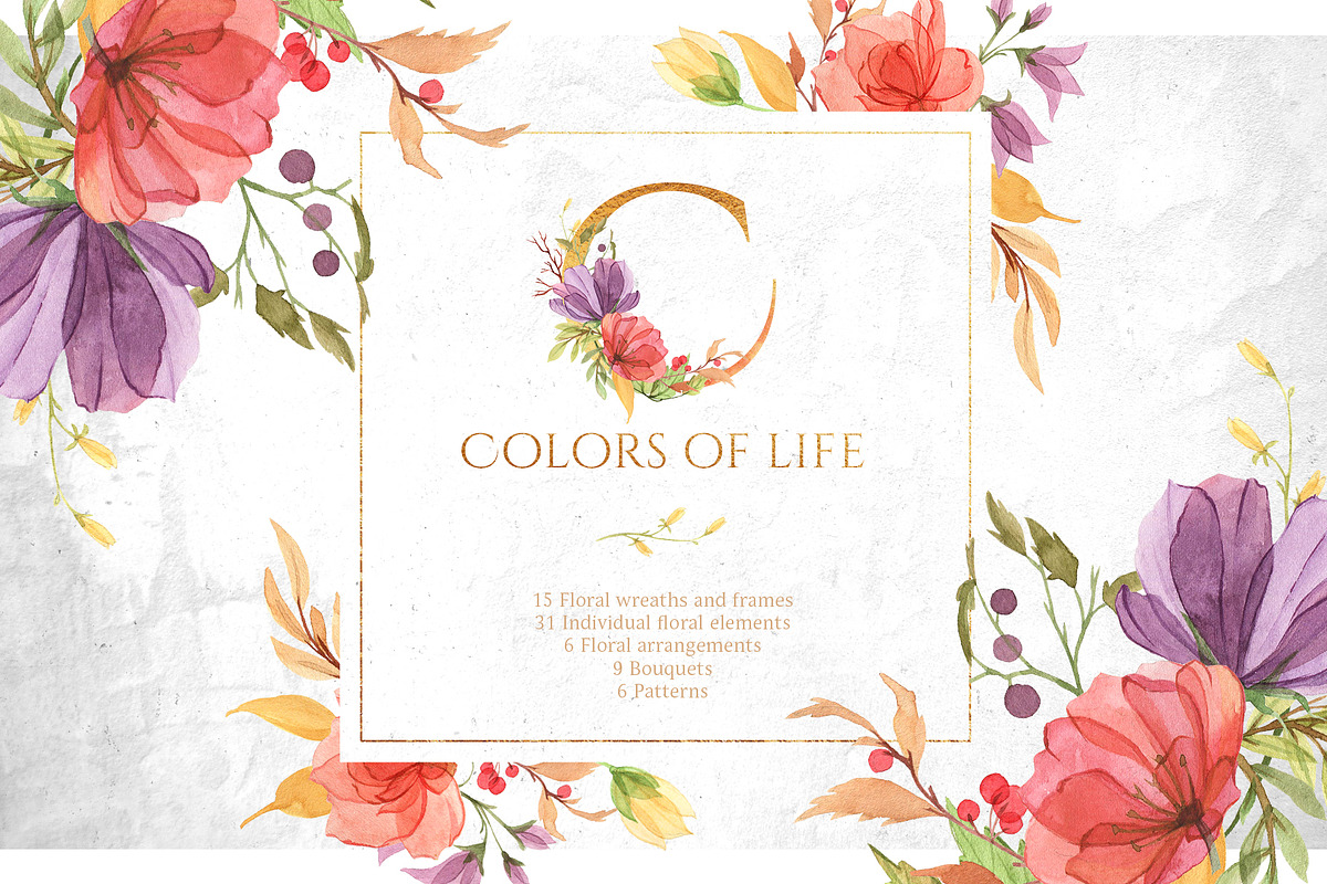 Watercolor gentle bright flowers in Illustrations - product preview 8
