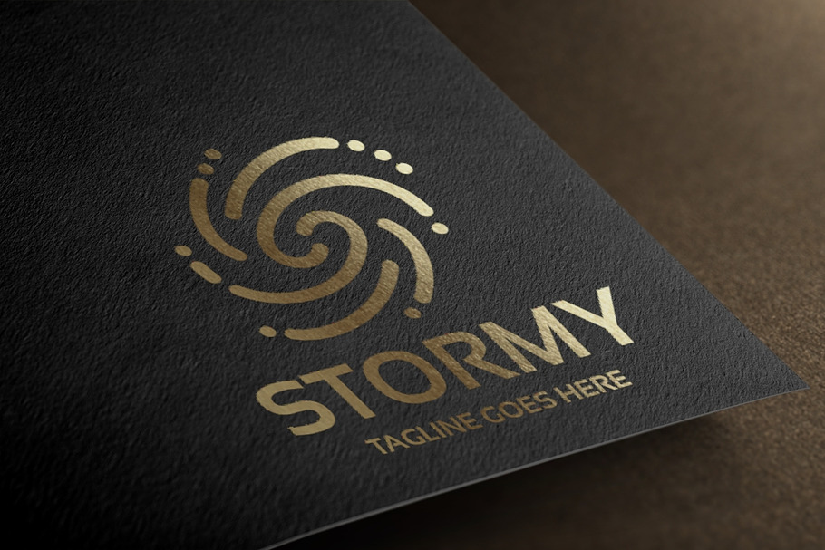 Stormy Logo in Logo Templates - product preview 8