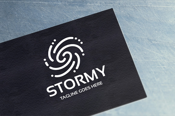 Stormy Logo in Logo Templates - product preview 5