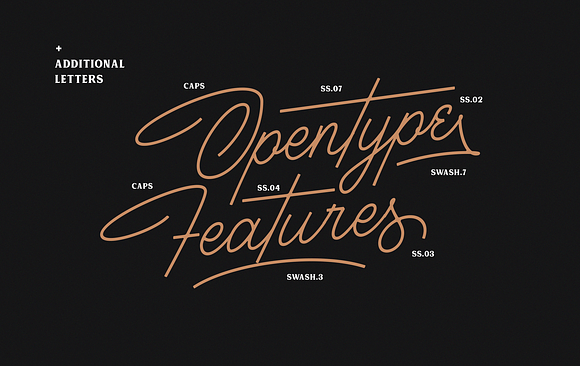 Houstoner Script + EXTRAS! (40%OFF) in Script Fonts - product preview 8