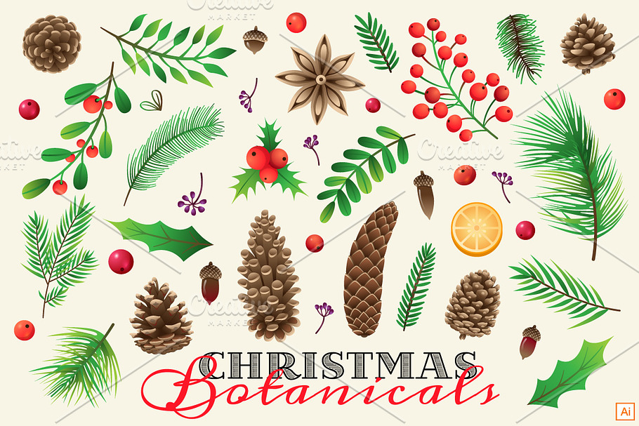 Christmas Botanical in Illustrations - product preview 8