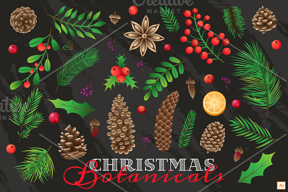  Christmas Botanical in Illustrations - product preview 1
