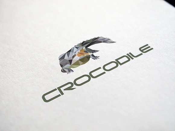 Crocodile LOGO Design in Logo Templates - product preview 1