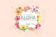 ALOHA Watercolor Hibiscus Kit