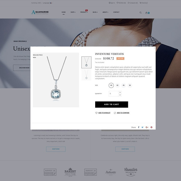 LEO AQUAMARINE - JEWELRY STORE in Website Templates - product preview 3