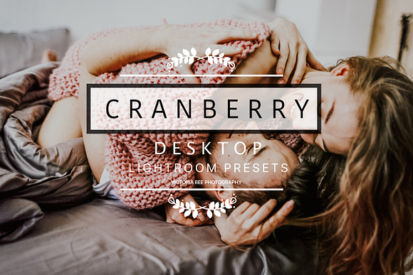 Desktop Lightroom Presets CRANBERRY in Add-Ons - product preview 27