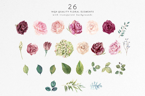Flower Clipart Set - Rose Garden in Illustrations - product preview 2