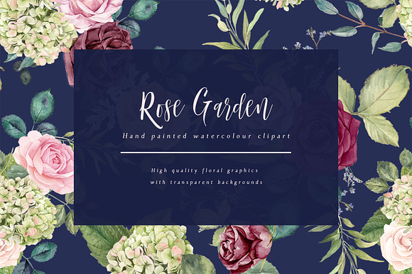 Flower Clipart Set - Rose Garden in Illustrations - product preview 3