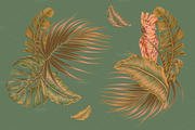 Tropical leaves floral illustrations