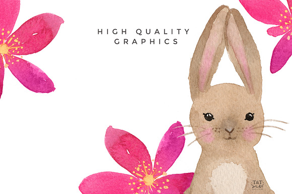 Spring Flower and Animal graphic set in Illustrations - product preview 5