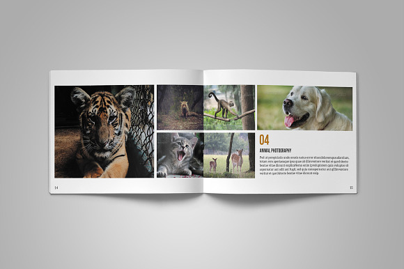 Photographer Portfolio in Brochure Templates - product preview 4