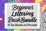 12 Beginner Lettering Brushes
