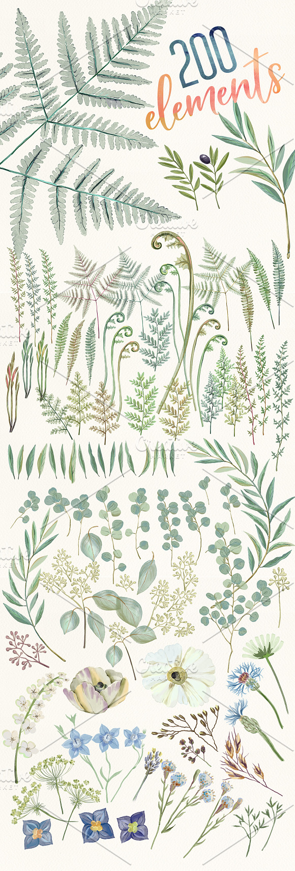 BUNDLE Eucalyptus greenery my best in Illustrations - product preview 1