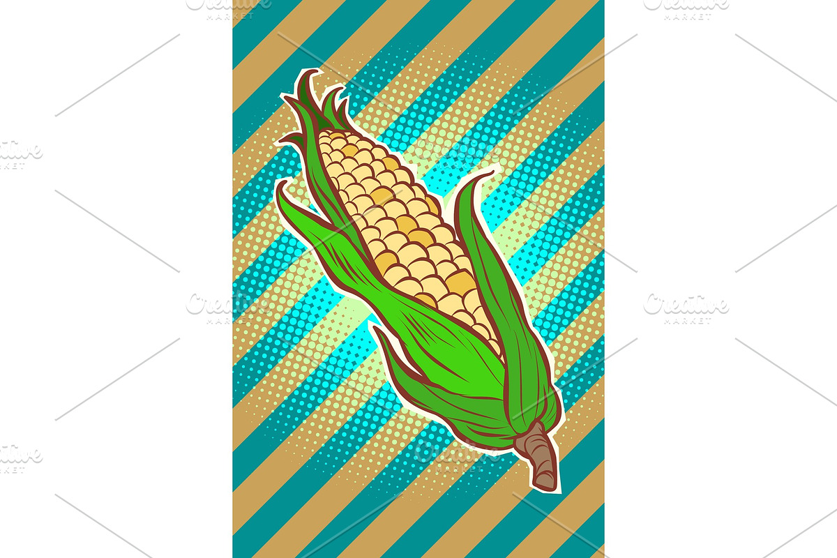 corn maize cob. appetizing in Illustrations - product preview 8