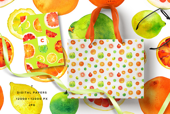 Citrus Watercolor Collection in Illustrations - product preview 4