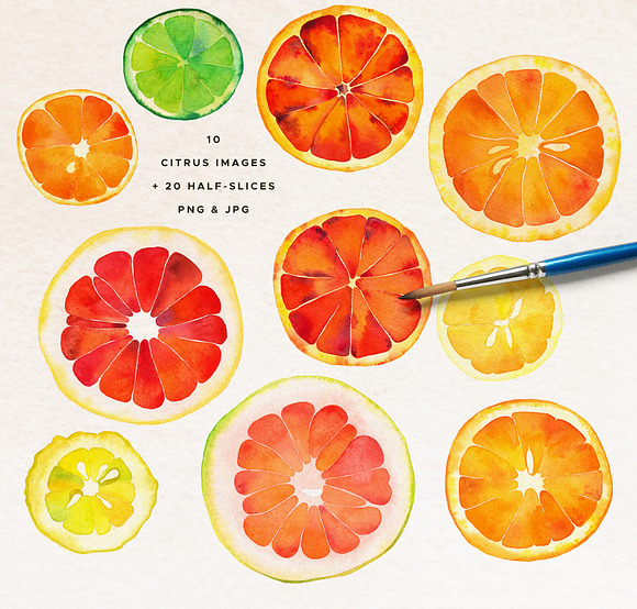 Citrus Watercolor Collection in Illustrations - product preview 8