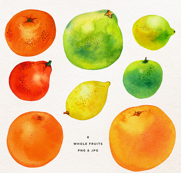 Citrus Watercolor Collection in Illustrations - product preview 9