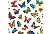 Vector decorative butterflies