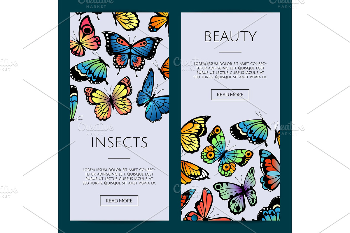 Vector decorative butterflies web in Graphics - product preview 8