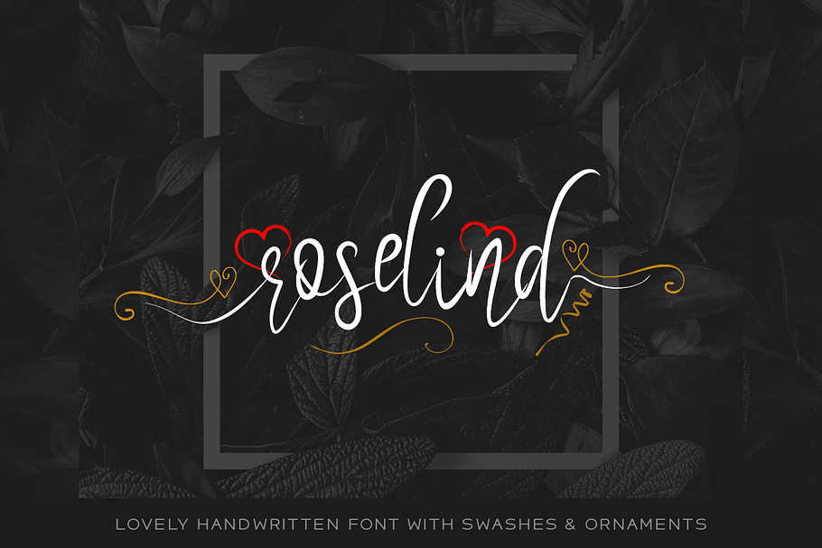 Roselind Font + Swashes & Ornaments