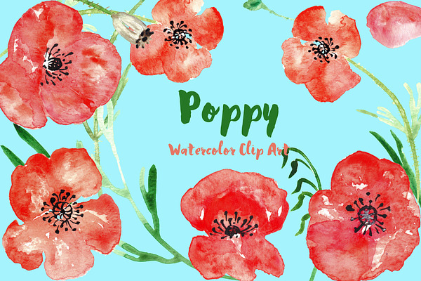 Poppy watercolor Clip Art