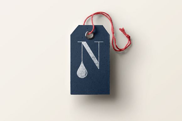 Letter N Logo Design in Logo Templates - product preview 3