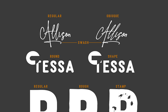 Allison Tessa - Gorgeous Signature in Script Fonts - product preview 7