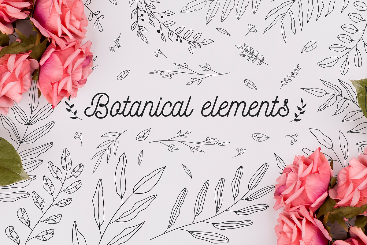 110 Hand-drawn botanical elements in Illustrations - product preview 8