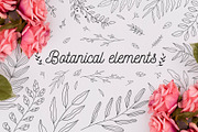 110 Hand-drawn botanical elements